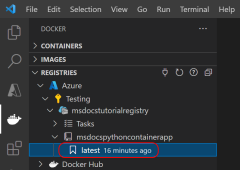 A screenshot showing how to confirm the information to build container in Azure in Visual Studio Code.