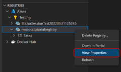 A screenshot showing how to get the properties of a registry in Visual Studio Code.