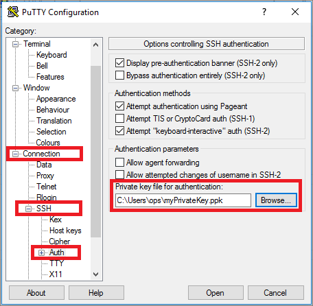 download file from putty to windows