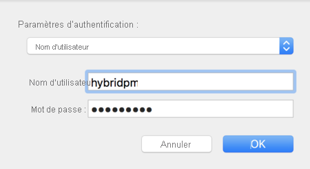 Capture d'écran représentant une boîte de dialogue Paramètres d'authentification dans laquelle Nom d'utilisateur est sélectionné.