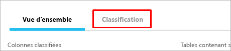 Screenshot of the Classification tab.