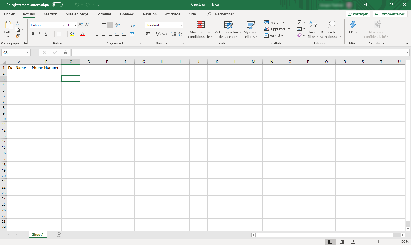Capture d’écran de la structure du fichier Excel.