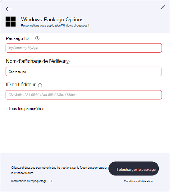 Collage des informations de l’éditeur dans la page Options du package Windows
