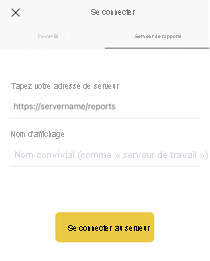 Screenshot of Report Server details filled in.
