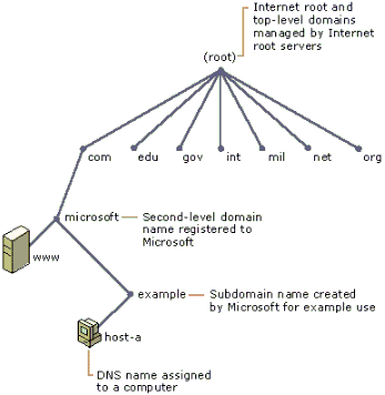 Intégration de l'espace de noms DNS d'Internet par Microsoft