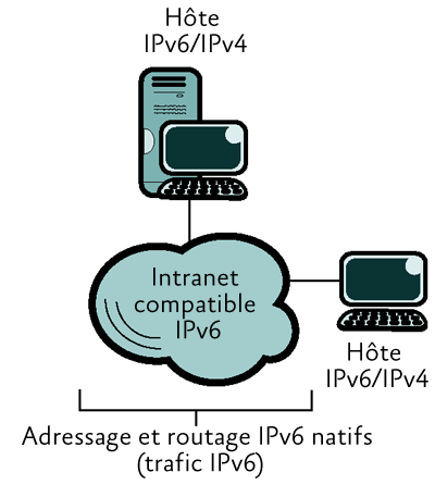 Figure 3 Intranet compatible IPv6