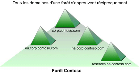 Figure 6.5. Forêt Windows 2000 Server unique