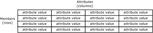 Entité Master Data Services représentée en tant que table