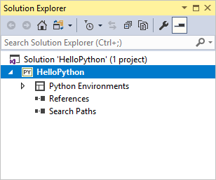 Solution explorer showing the newly created empty project