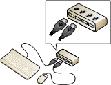 Image of USB hub input device connections