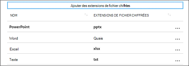 Extensions de fichier chiffrées WIP.