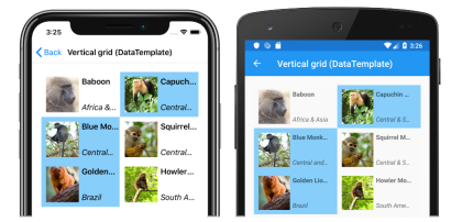 Capture d’écran d’une disposition de grille verticale CollectionAfficher une disposition de grille verticale, sur iOS et Android