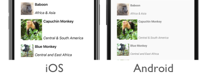 Capture d’écran d’un élément CollectionView avec dimensionnement d’élément dynamique, sur iOS et Android