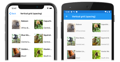 Capture d’écran d’une collectionView avec l’espacement des éléments, sur Android