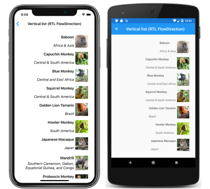 Capture d’écran d’une disposition de liste verticale CollectionView de droite à gauche, sur iOS et Android