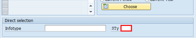 Képernyőkép az SAP Easy Access alkalmazás HR-törzsadatainak karbantartása ablakáról. A képernyő Közvetlen kijelölés területén az STy mező van kiválasztva.