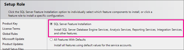 SQL Server Feature Installation for setup role