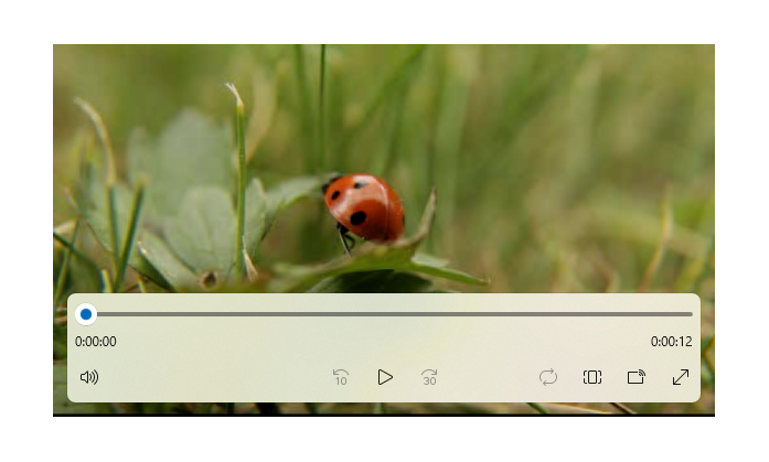 Cuplikan layar elemen pemutar media dengan kontrol transportasi memutar video ladybug