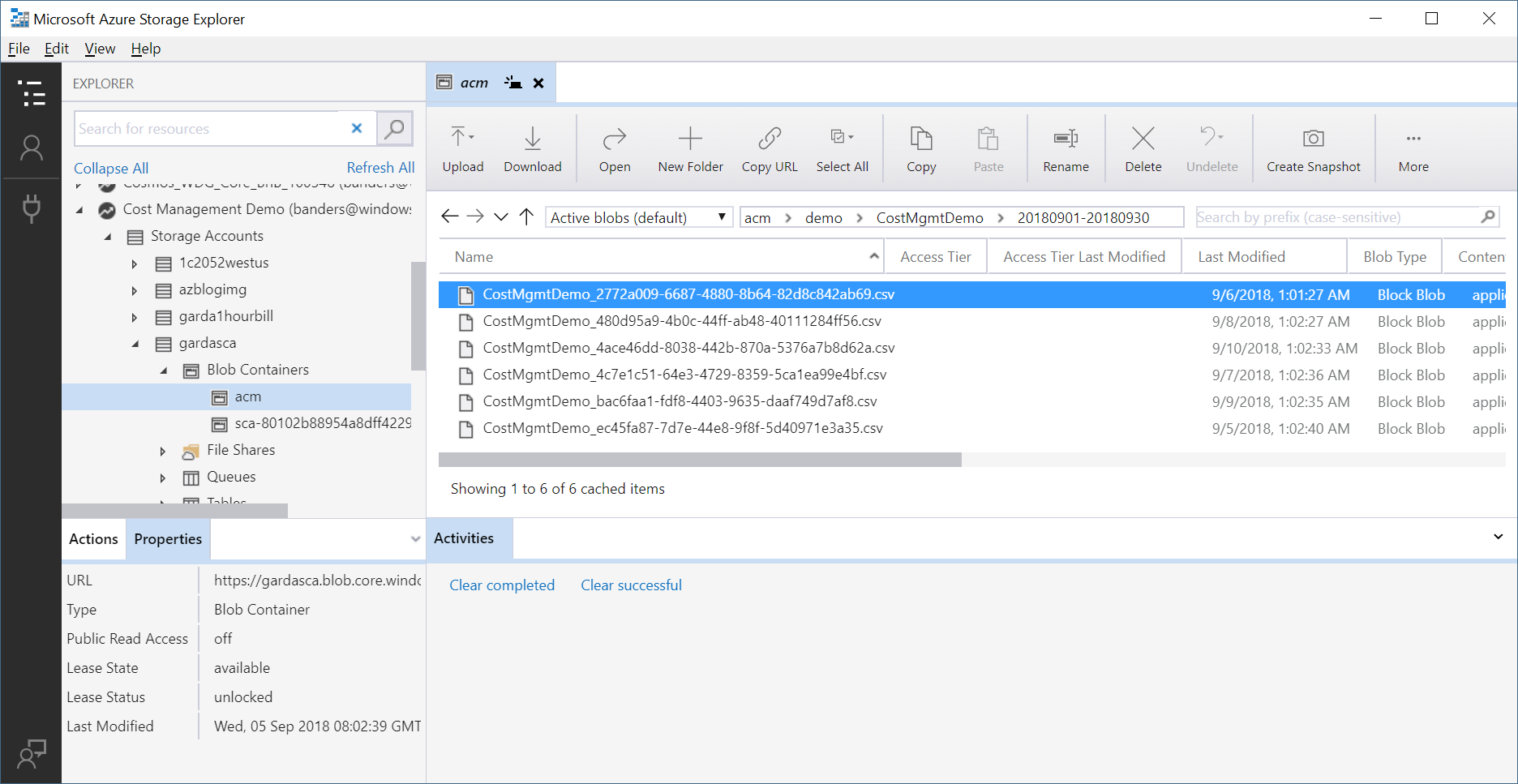Cuplikan layar memperlihatkan contoh informasi di Storage Explorer.