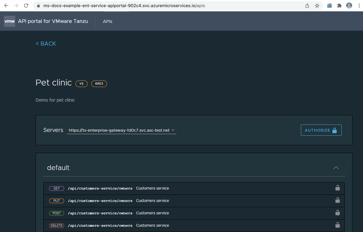 Cuplikan layar portal API yang menunjukkan rute yang dikonfigurasi.
