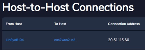 Screenshot that shows list of host-to-host connections.