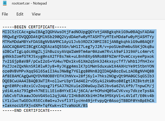 Cuplikan layar yang menunjukkan informasi sertifikat akar di Notepad.
