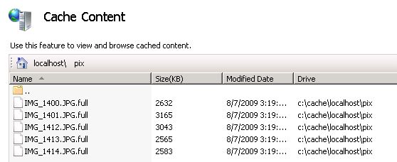 Screenshot of the Cache Content pane with a list of files and their cache locations on the hard drive.