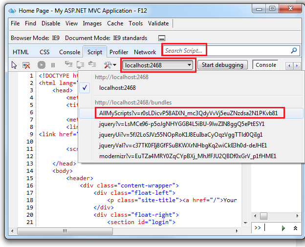 Screenshot that shows the I E F 12 developer tool's Script tab. The Search Script input box, a bundle, and a Java Script function are highlighted.