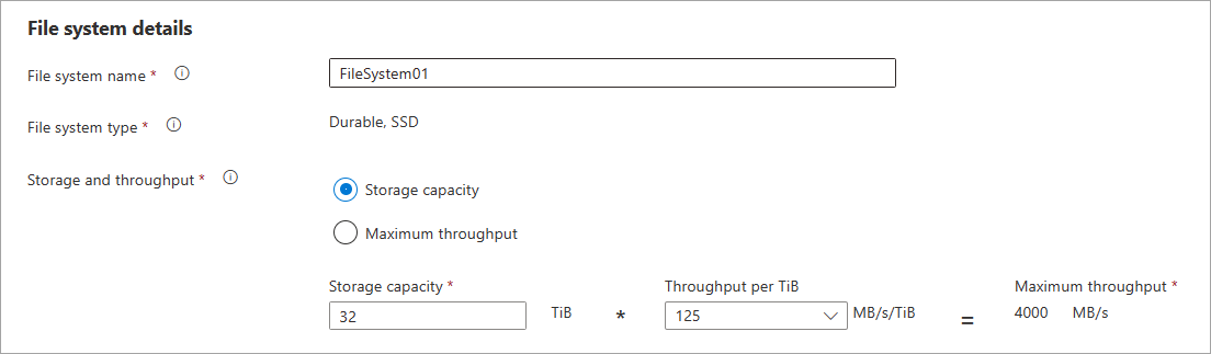 Screenshot che mostra le impostazioni archiviazione e velocità effettiva per dimensioni di un file system gestito di Azure durante la creazione del file system.