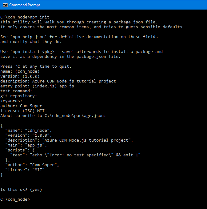 Screenshot dell'output init di NPM.