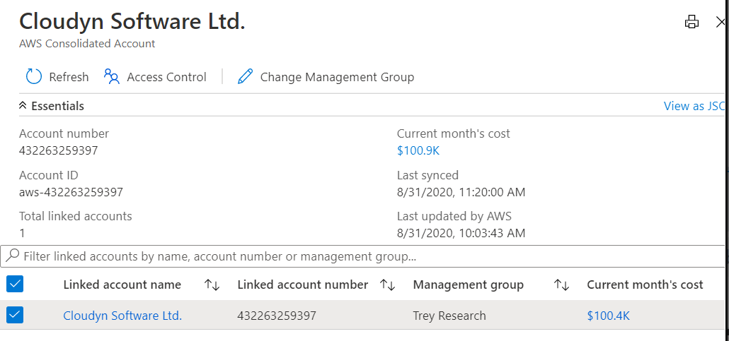 Screenshot che mostra i dettagli per un account AWS consolidato.