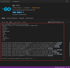 Screenshot che mostra tutti gli strumenti Go aggiornati.