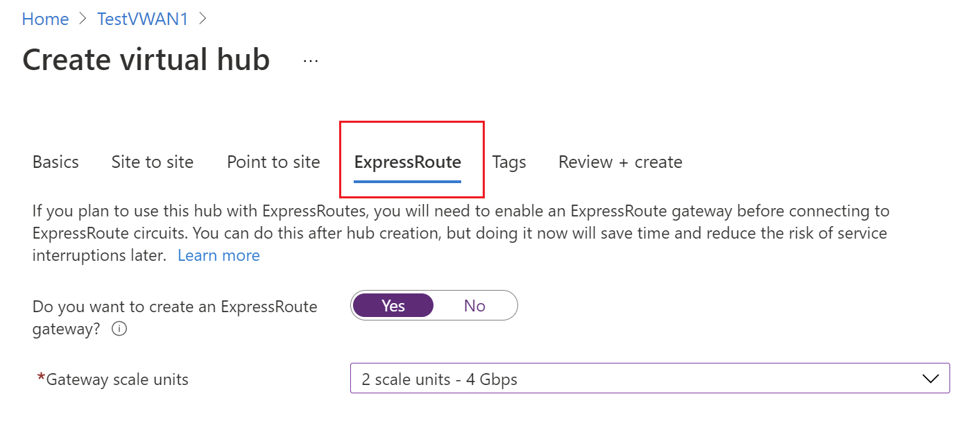 Screenshot che mostra la scheda ExpressRoute in cui è possibile immettere i valori.