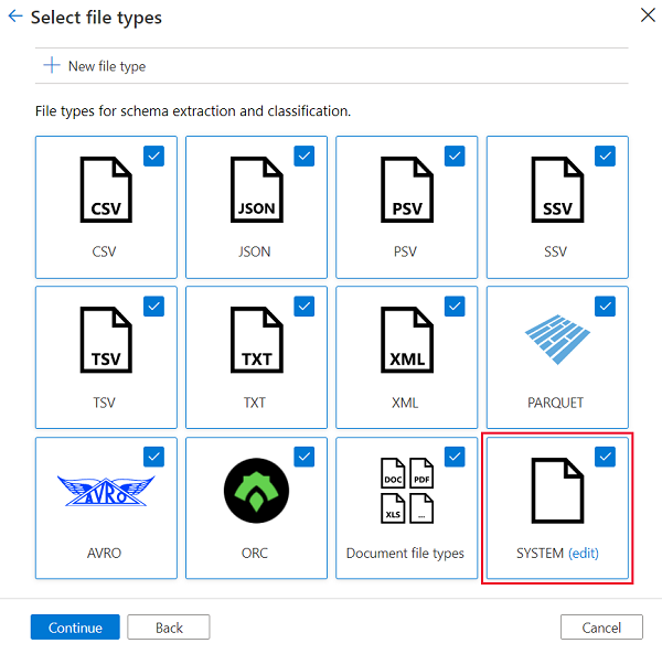 Screenshot che mostra il nuovo riquadro del tipo di file personalizzato nella pagina Seleziona tipi di file.