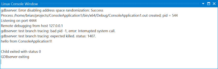 Screenshot che mostra la finestra Console Linux.