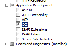 Screenshot dell'albero di spostamento della procedura guidata Aggiungi servizi ruolo. C G I è selezionato e evidenziato.