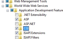 Screenshot dell'albero di spostamento di Internet Information Services. Le funzionalità di sviluppo delle applicazioni vengono espanse. C G I è selezionato e evidenziato.