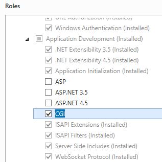 Screenshot dell'opzione C G I selezionata in un'interfaccia di Windows Server 2012.