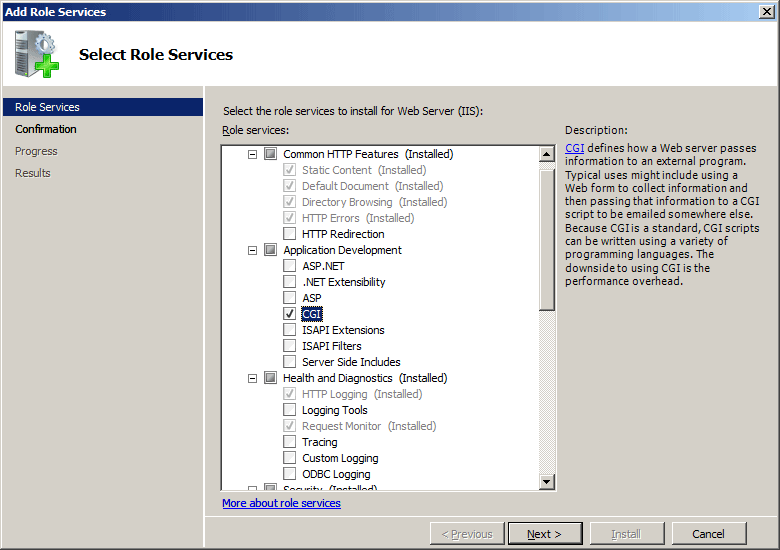 Screenshot di C G I selezionato in un'interfaccia di Windows Server 2008.