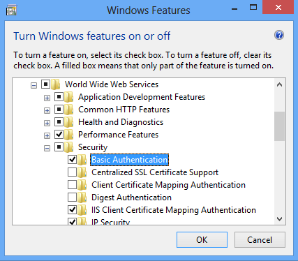 Screenshot dell'autenticazione di base selezionata in un'interfaccia di Windows 8.