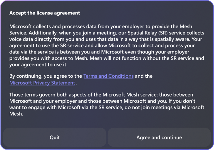 Screenshot del contratto di licenza dell'utente finale per Mesh e audio spaziale.