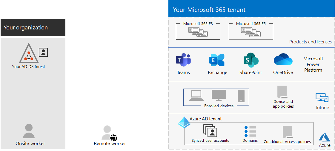 Un esempio di tenant di Microsoft 365.