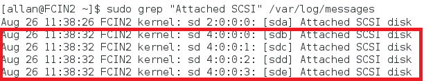 Screenshot of the grep command and the response to the command showing the attached SCSI disks.