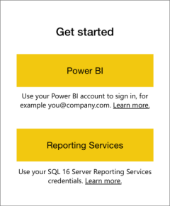 Screenshot of the Reporting Services button.