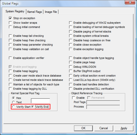 Screenshot delle opzioni Verifica inizio e verifica fine nella scheda Registro di sistema in GFlags.