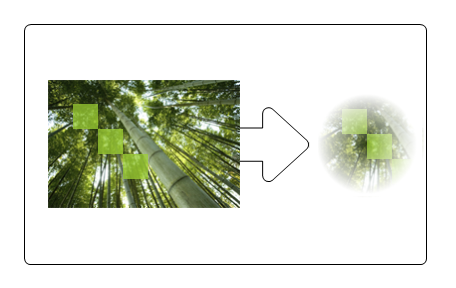 illustrazione di un'immagine degli alberi e dell'immagine risultante dopo l'applicazione di una maschera di opacità