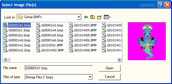 Screenshot che mostra un file di immagine selezionato in Esplora file.