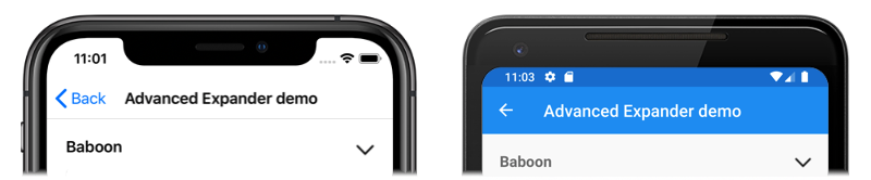 Screenshot di un'icona Expander in stato compresso, in iOS e Android.