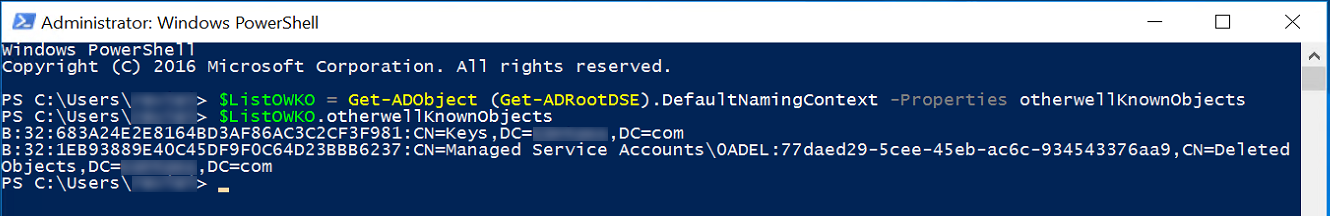 Active Directory コマンドの出力のスクリーンショット。出力には、他の既知のオブジェクト内に見つからない属性が表示されます。