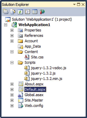 New Web Application in Visual Studio 2010